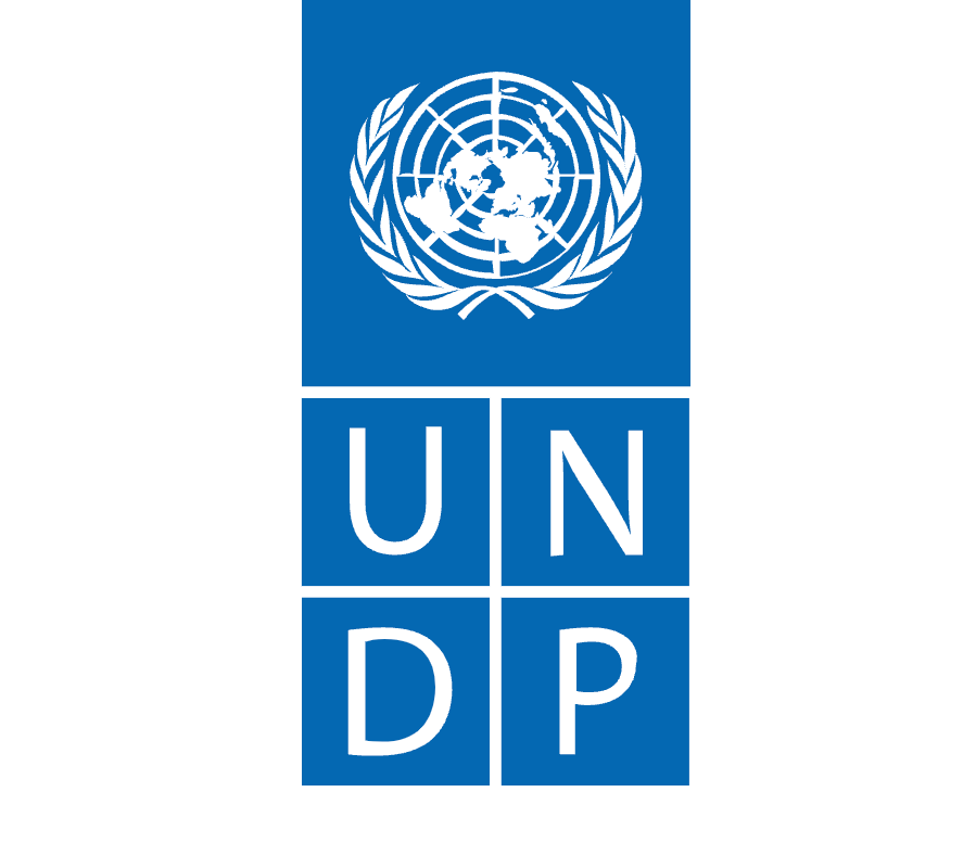 UNDP Icon Image